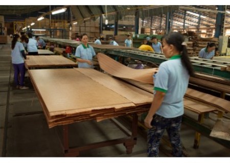 Hình ảnh công ty - Shang Wood Industries - Công Ty TNHH Shang Wood Industries